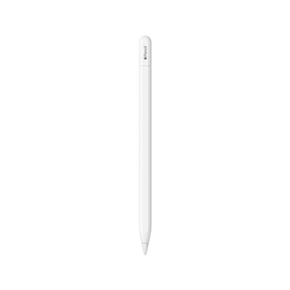 APPLE PENCIL (USB-C) MUWA3ZE/A resmi