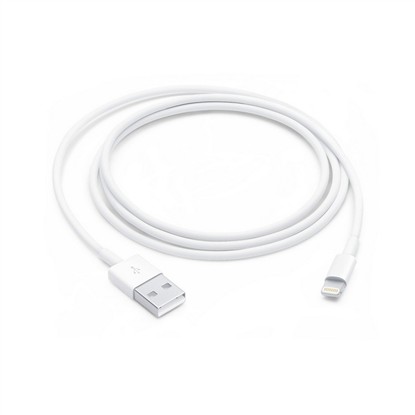 APPLE LIGHTNING - USB KABLOSU (1 M) MUQW3ZM/A resmi