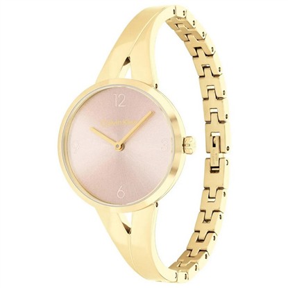 CALVİN KLEİN CK25100027 KADIN KOL SAATİ resmi