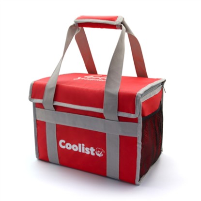 COOLIST CL26R 26 LİTRE KATLANABİLİR TERMOS BEZ ÇANTA / BUZLUK resmi