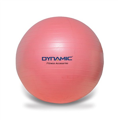 DYNAMIC GYMBALL 55 CM PEMBE 1DYAKGYMBALL/55C-042 resmi