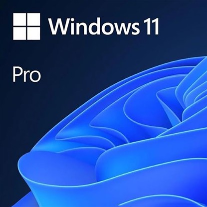 MS WINDOWS 11 PRO TR KUTU HAV-00159 (164003) resmi