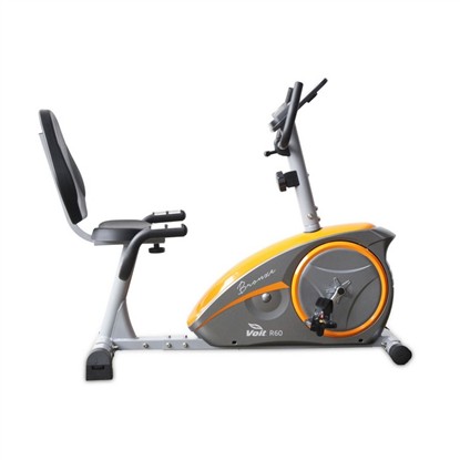 VOIT R-60 BRONZE COLLECTION YATAY BİSİKLET/V2 1VTBSR60/V2 resmi