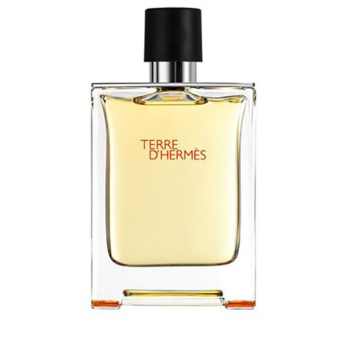 HERMES TERRE ERKEK EDT PARFÜM 100ML resmi