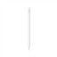 APPLE PENCIL (USB-C) MUWA3ZE/A resmi