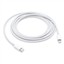 APPLE USB-C TO LIGHTNING CABLE (2 M) MW2R3ZM/A resmi