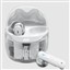 JBL TUNE FLEX2 NC KULAKİÇİ TWS KULAKLIK GHOST BEYAZ JB.JBLTFLEX2GWHT resmi