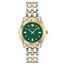 VERSACE VRSCVE6C00423 KADIN KOL SAATİ resmi