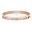 WESSE JWDG1026-03 KADIN BİLEKLİK resmi